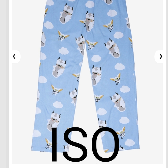 ISO Avatar The Last Airbender Appa and Momo PJs - Picture 1 of 1